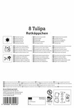 Greigii-Tulpe Rotkäppchen
