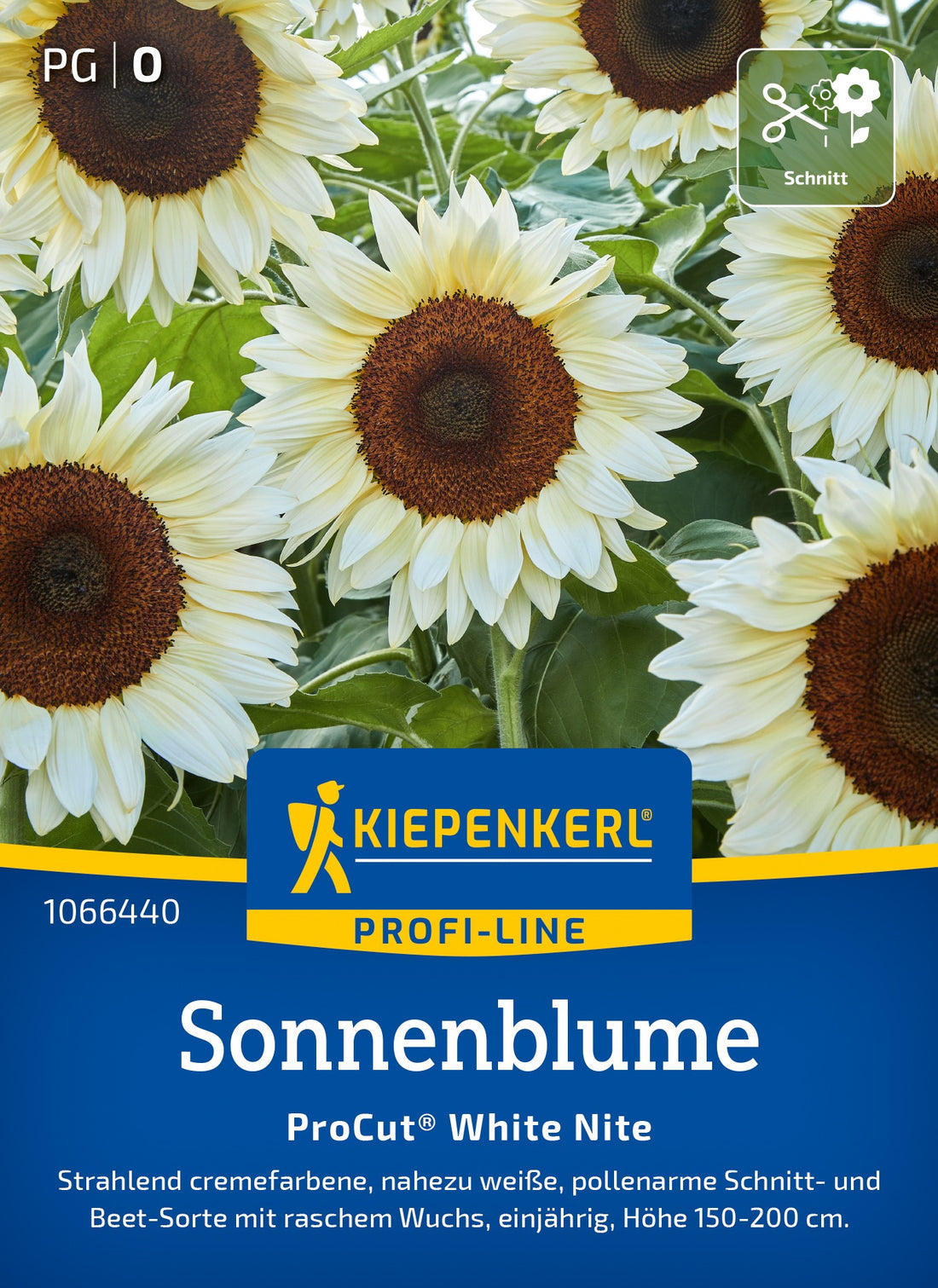 Kiepenkerl Sonnenblumen ProCut® White Nite