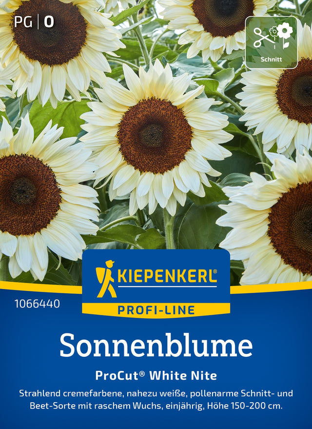 Kiepenkerl Sonnenblumen ProCut® White Nite