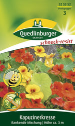 Quedlinburger Kapuzinerkresse rankende Mischung