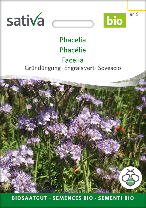 Sativa BIO Gründüngung Phacelia
