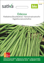 Sativa Filetbohne (Buschbohne) Odessa
