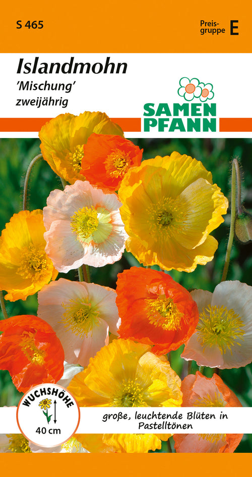 Samen Pfann Islandmohn Mischung zweijährig