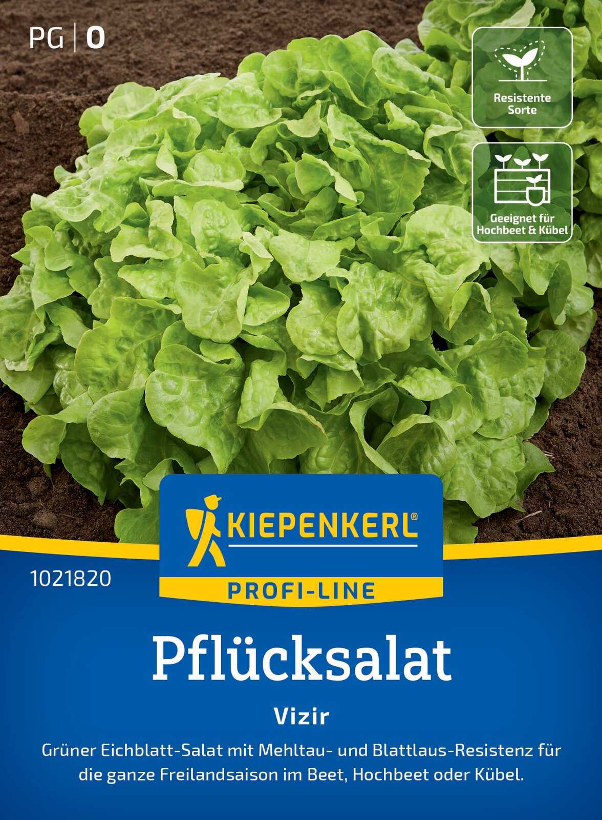 Kiepenkerl Pflücksalat Vizir