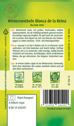 Quedlinburger Zwiebel Blanca de la Reina