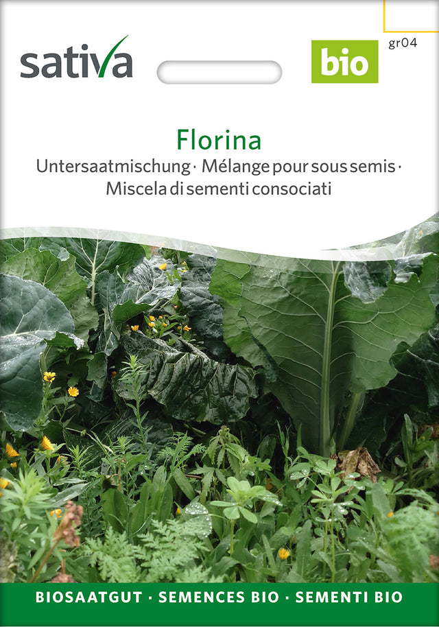 Sativa Untersaatmischung Florina