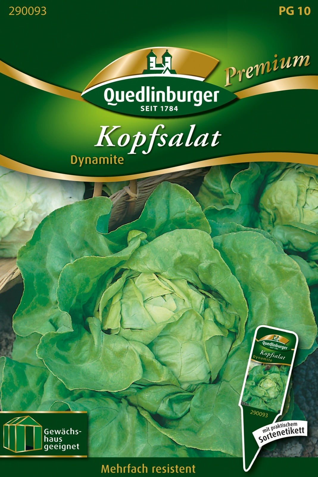 Quedlinburger Kopfsalat Dynamite