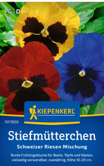 Kiepenkerl Stiefmütterchen Schweizer Riesen Mischung
