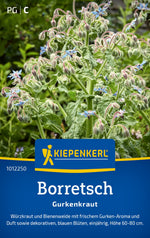 Kiepenkerl Borretsch Gurkenkraut