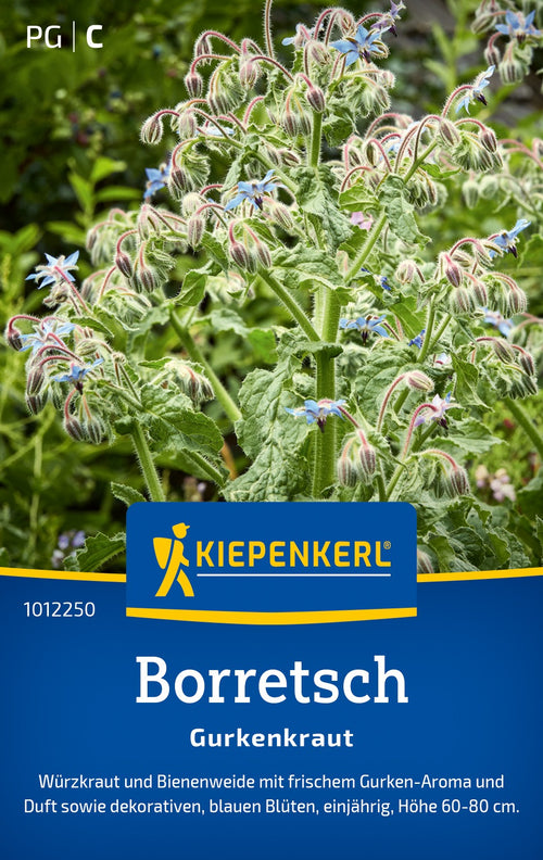 Kiepenkerl Borretsch Gurkenkraut