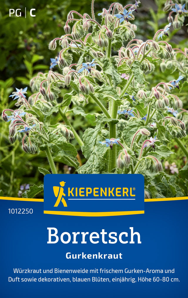 Kiepenkerl Borretsch Gurkenkraut