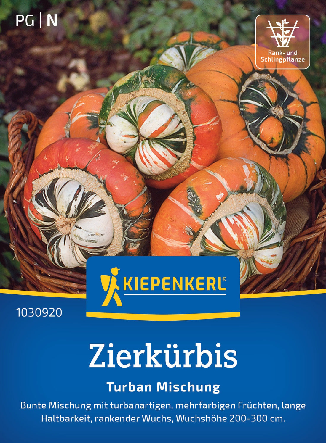 Kiepenkerl Kürbis Turban Mischung