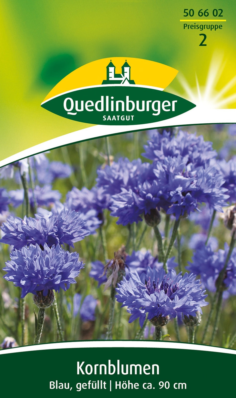 Quedlinburger Kornblume blau, gefüllt