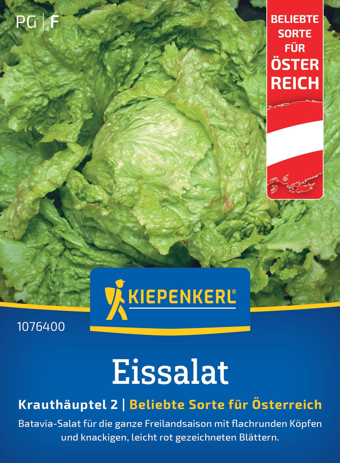 Kiepenkerl Eissalat Grazer Krauthäuptel 2 Österreich Sorte