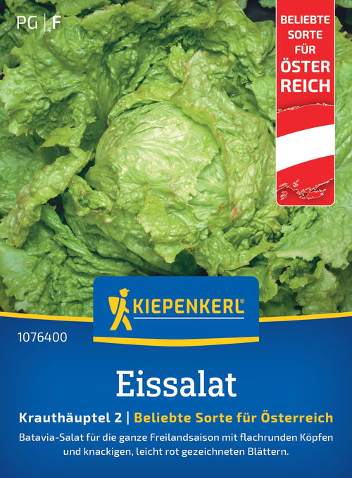 Kiepenkerl Eissalat Grazer Krauthäuptel 2 Österreich Sorte