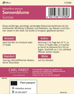 Pabst Keimkraft Sonnenblumen Henry Wilde