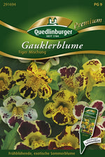 Quedlinburger Gauklerblume  Tiger-Mischung