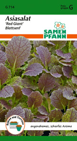 Samen Pfann Asiasalat Red Giant Blattsenf