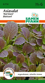 Samen Pfann Asiasalat Red Giant Blattsenf