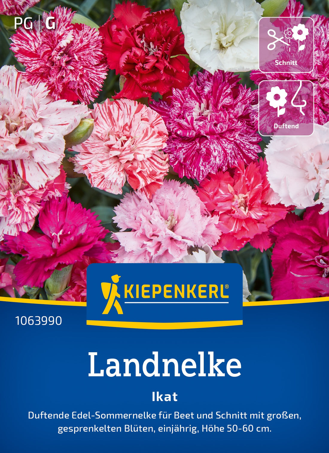 Kiepenkerl Landnelke Ikat