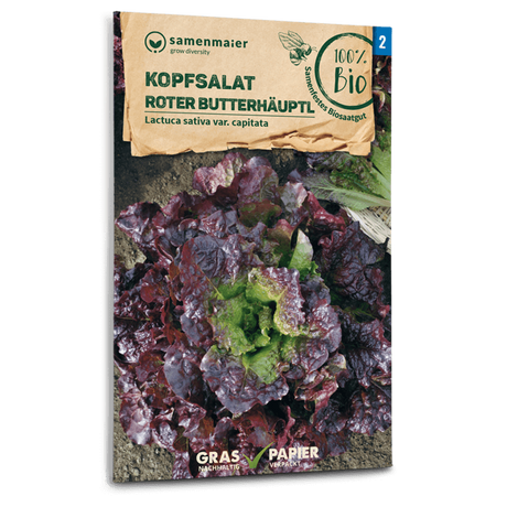 Samen Maier BIO Kopfsalat Roter Butterhäuptl