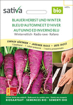 Sativa Winterrettich Blauer Herbst und Winter Saatband
