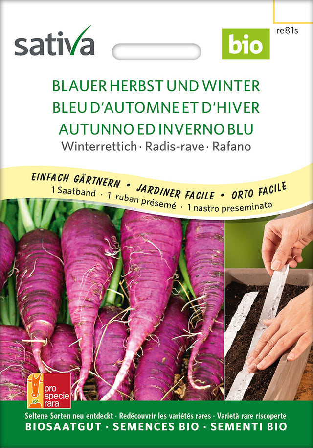 Sativa Winterrettich Blauer Herbst und Winter Saatband
