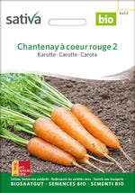 Sativa Karotte Chantenay à coeur rouge 2