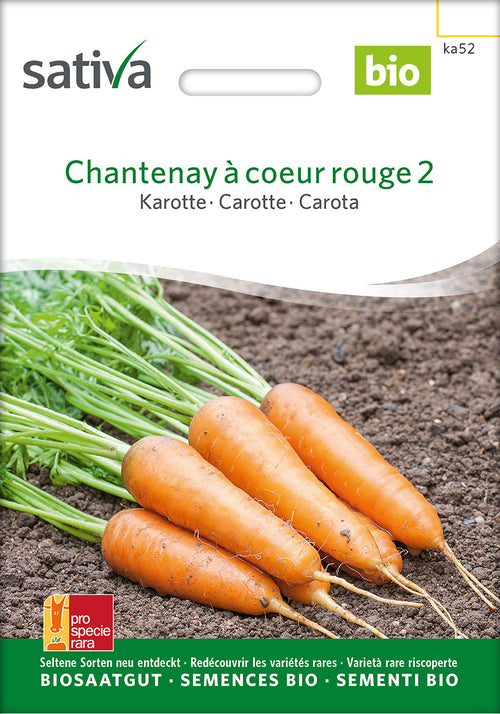 Sativa Karotte Chantenay à coeur rouge 2