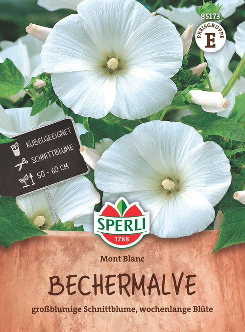 SPERLI Bechermalve Mont Blanc