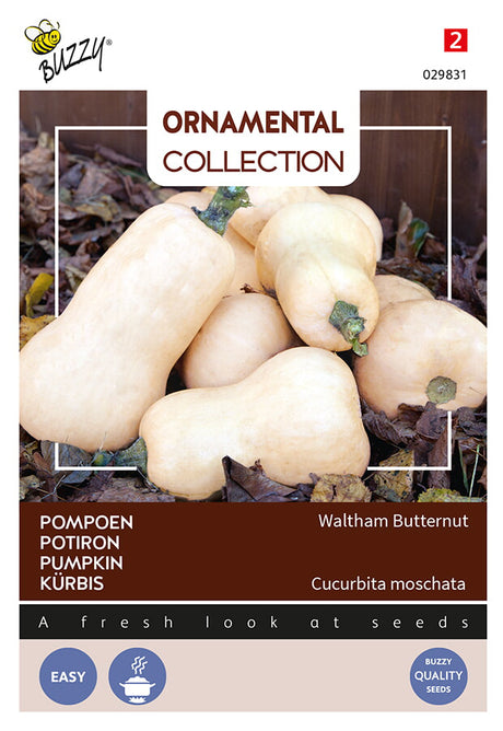 Buzzy Seeds Kürbis Waltham Butternut