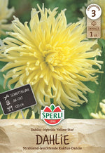 SPERLI Dahlie Yellow Star
