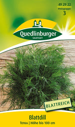 Quedlinburger Blattdill Tetra