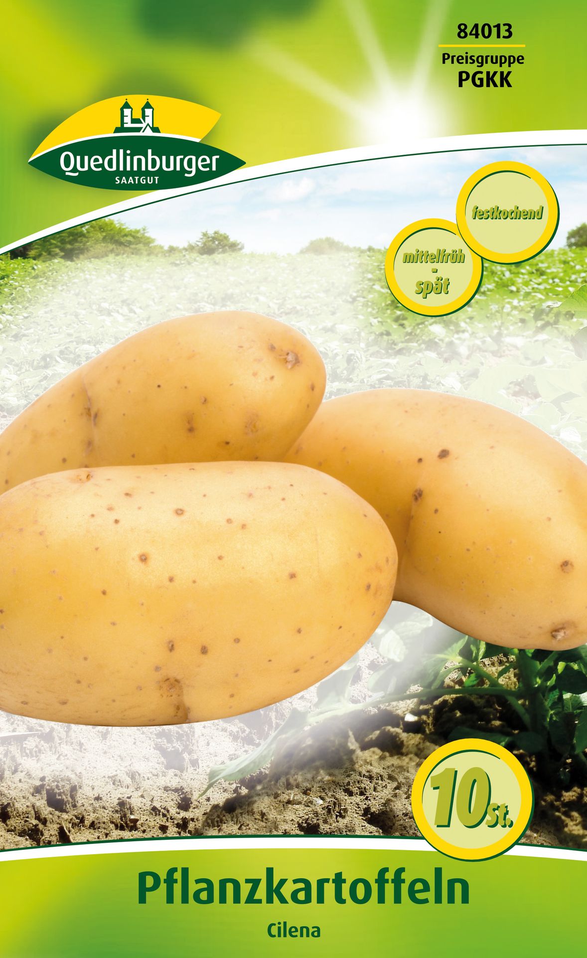 Quedlinburger Pflanzkartoffel Cilena 10 Stück