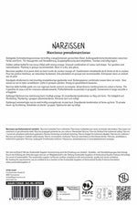 Premium Spleißkronige Narzisse Blazing Starlet