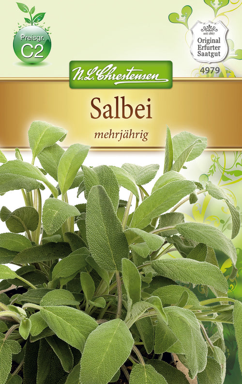 N.L. Chrestensen Salbei mehrjährig