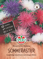 SPERLI Sommeraster Riesenstrahlen-Mischung
