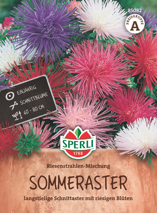 SPERLI Sommeraster Riesenstrahlen-Mischung