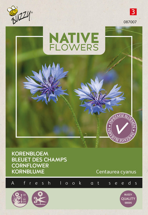 Buzzy Seeds Kornblume