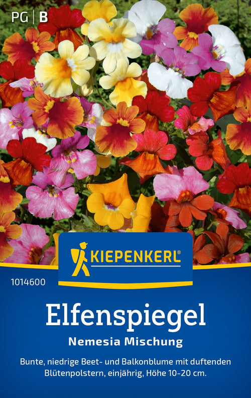 Kiepenkerl Elfenspiegel Nemesia Mischung