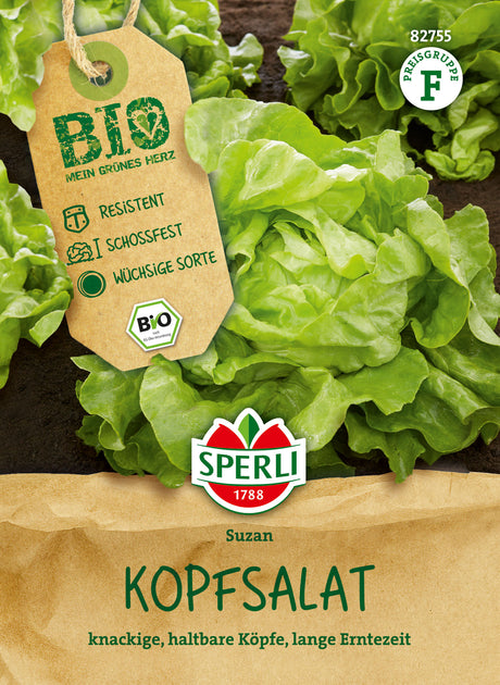 SPERLI BIO Kopfsalat Suzan