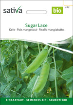 Sativa Kefe Sugar Lace