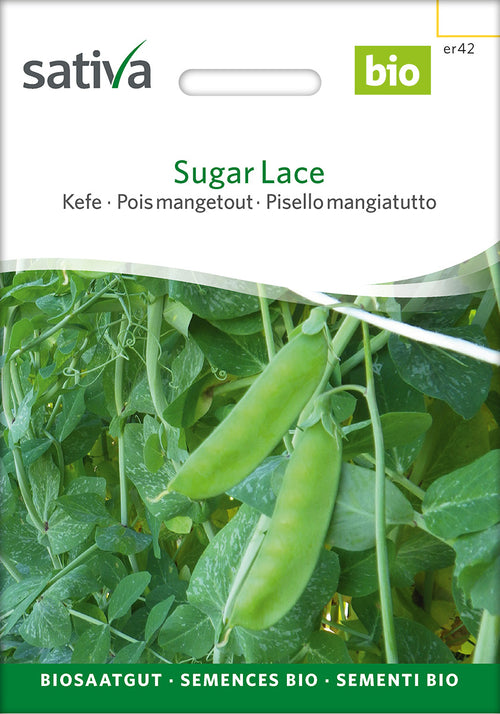 Sativa Kefe Sugar Lace