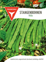 Frankonia Samen Stangenbohnen Hilda