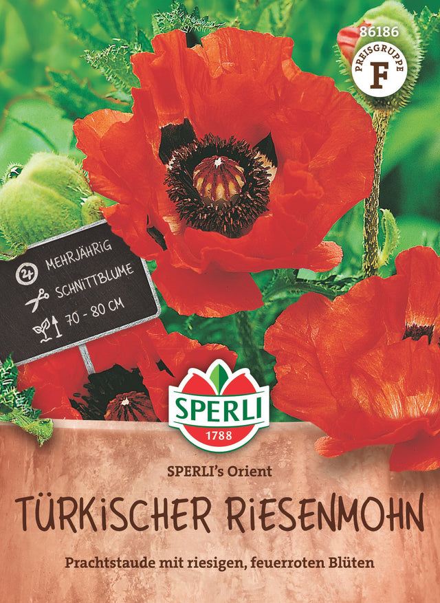 SPERLI Türkischer Riesenmohn SPERLI's Orient