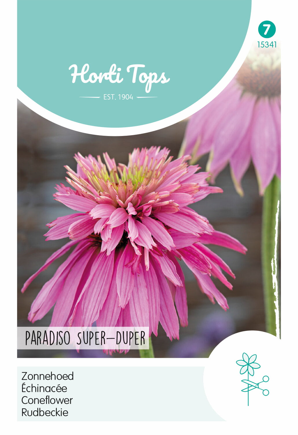 Horti Tops Sonnenhut Paradiso Super-Duper