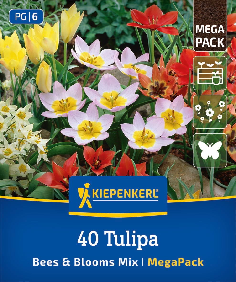 Mega Pack Bees & Blooms