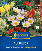 Mega Pack Bees & Blooms