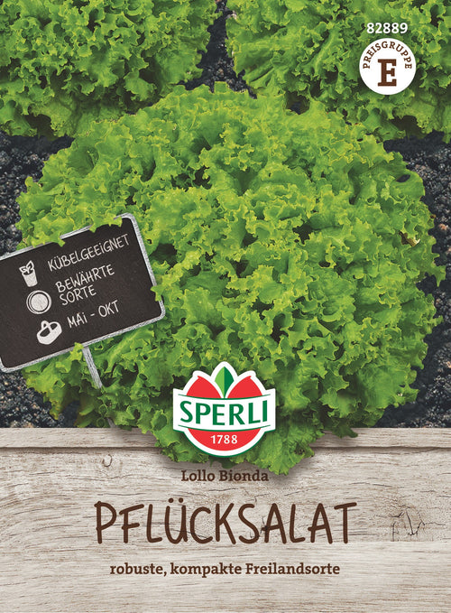 SPERLI Pflück- & Schnittsalat Lollo Bionda