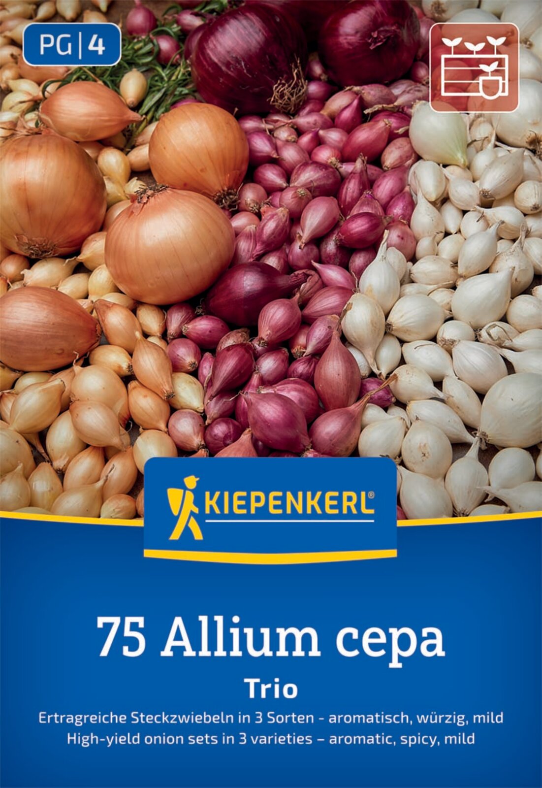 Kiepenkerl Steckzwiebel Trio 75 Stück